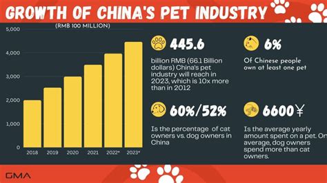 昌吉哪裏有寵物市場？談論現代寵物消費與社會進步